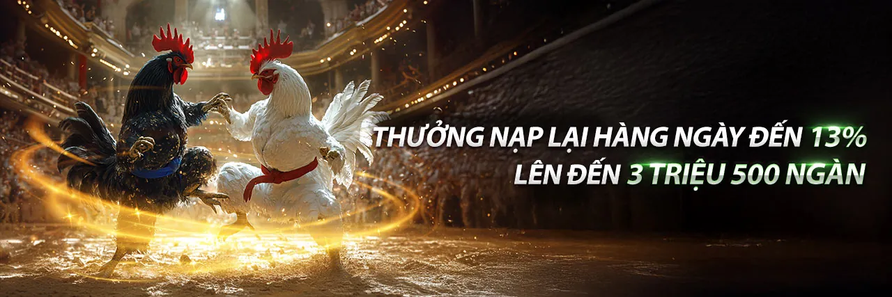 Sân vận động bóng đá với cầu thủ đang thi đấu, thể hiện cá cược thể thao sôi động trên nuhu90 link mới